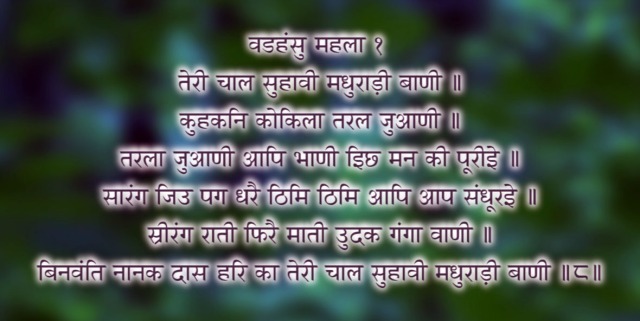 Teri Chal hindi2